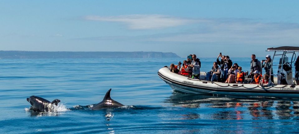 Lisbon: Sunset SpeedBoat Tour - Safety, weather, and comfort: how to get the most from the hour