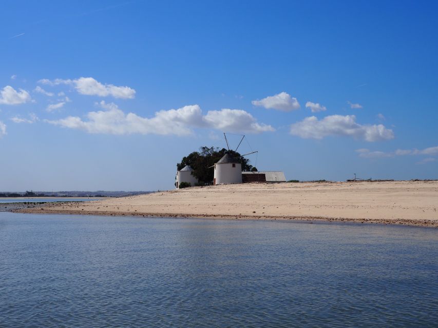 Lisbon: Tagus Estuary Nature Reserve Birdwatching Boat Tour - Tagus Estuary Nature Reserve: why this feels special so close to the city