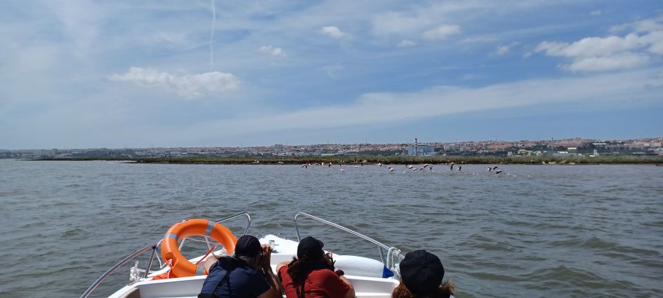 Lisbon: Tagus Estuary Nature Reserve Birdwatching Boat Tour - Parque das Nações photo stop: modern Lisbon first, then the wildlife switch