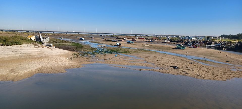 Lisbon: Tagus Estuary Nature Reserve Birdwatching Boat Tour - Bairro dos Pescadores 21 stop: where the river feels lived-in