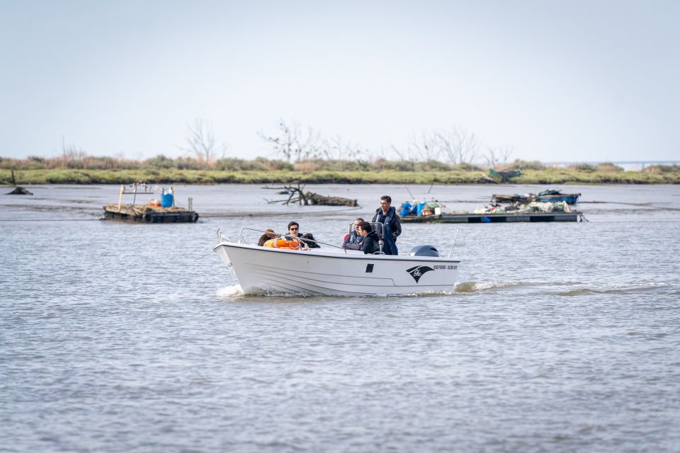 Lisbon: Tagus Estuary Nature Reserve Birdwatching Boat Tour - What to bring (and what to wear) so you’re not uncomfortable during the chase