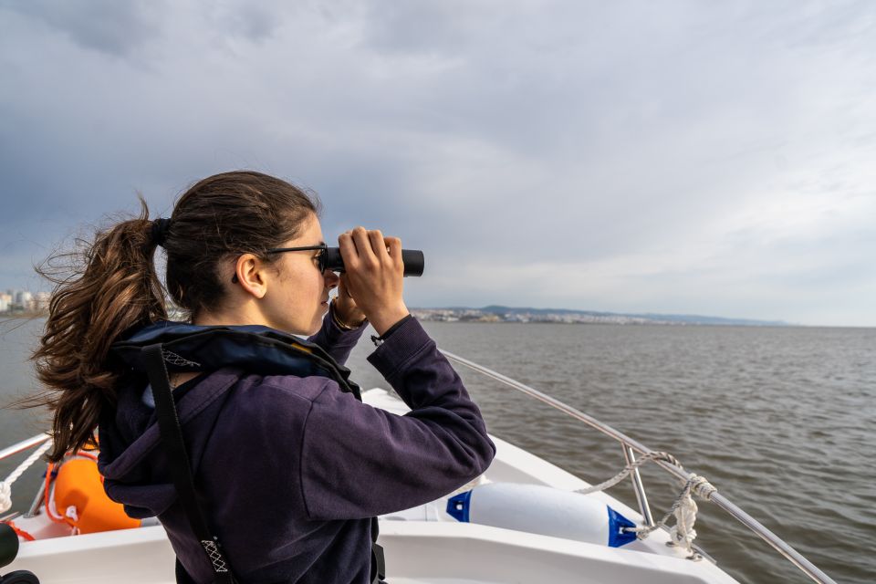 Lisbon: Tagus Estuary Nature Reserve Birdwatching Boat Tour - Price and value: does $58 make sense for a birding boat tour?