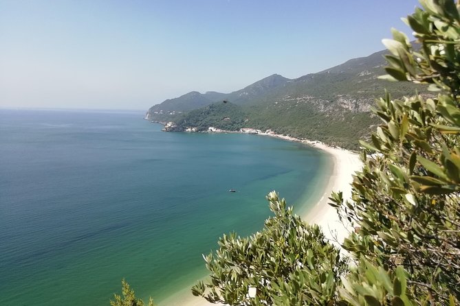 Lisbon & The South Side Wine Regions Private Luxury Tour - Should you book this Lisbon & South Side Wine Regions Private Luxury Tour?