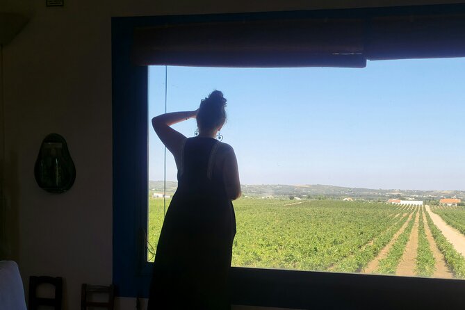 Lisbon to Evora: Cork Factory Visit and Wine Tour + hotel pick-up - Key highlights you’ll feel right away