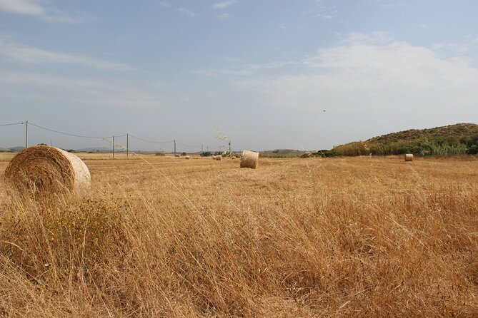 Lisbon to Evora: Cork Factory Visit and Wine Tour + hotel pick-up - Évora in two hours: medieval bones without the time drain
