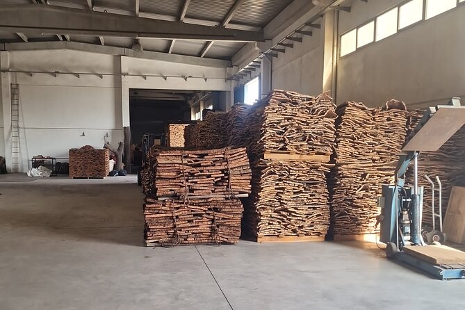 Lisbon to Evora: Cork Factory Visit and Wine Tour + hotel pick-up - Ervideira wine shop in Monsaraz: tastings with names you can seek later