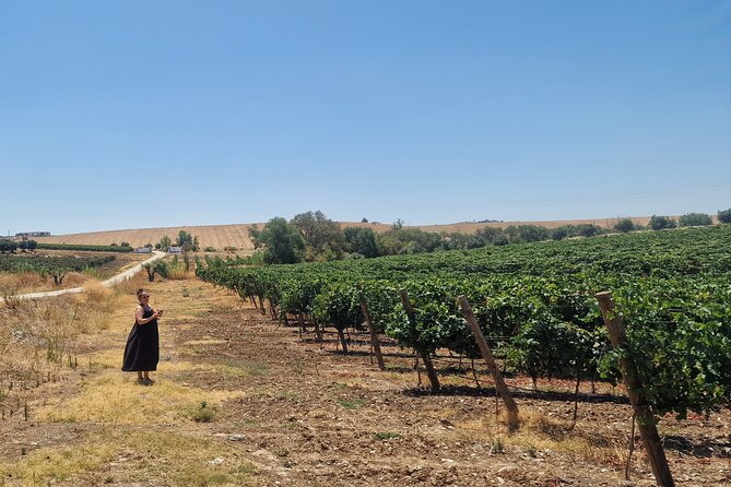 Lisbon to Evora: Cork Factory Visit and Wine Tour + hotel pick-up - Timing, pace, and the kind of traveler this suits