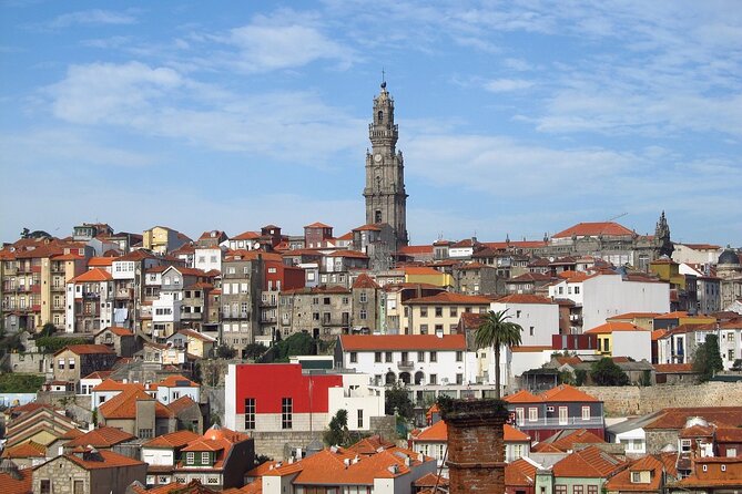 Lisbon to Porto or Porto to Lisbon private transfer - The Nazaré Stop: Cliffs, Praia do Norte, and a Real Coastal Break