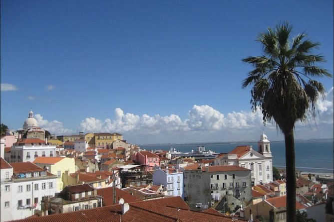 Lisbon walking tailored private tour (half day) - Who this Lisbon private walking tour is best for