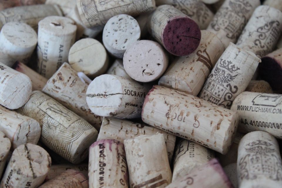 Lisbon Wine and Food: Private Walking Tour - Practical planning tips before you go