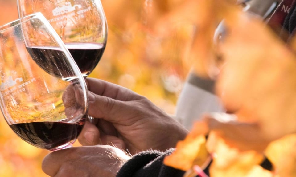 Lisbon Wine Tasting - How The Tasting Helps You Spot Flavors and Aromas