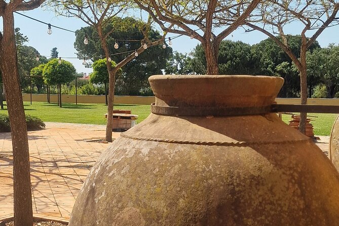 Lisbon Wine Tour: Azeitao, Setubal and Arrabida and Hotel Pickup - A day trip that actually connects the dots: Lisbon, sea, and wine