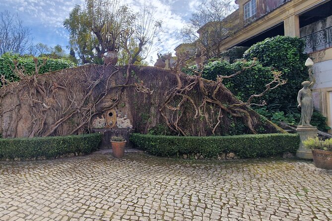 Lisbon Wine Tour: Azeitao, Setubal and Arrabida and Hotel Pickup - Serra da Arrábida: what the natural park visit feels like