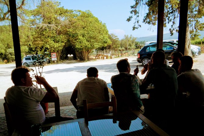 Lisbon´s South Sights & Wine Private Tour - Sesimbra Fisher Village and the Moorish Castle Panorama