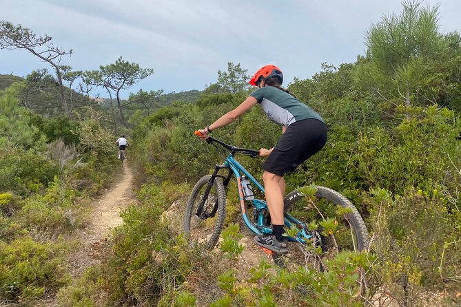 Lizandro Trails - Mountain Biking - Why Lizandro Trails Works So Well