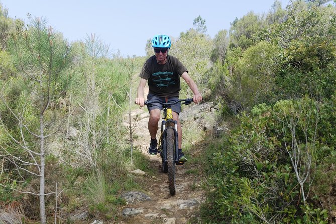 Lizandro Trails - Mountain Biking - Medronho Trail: Fast, Fun, and Actually Challenging