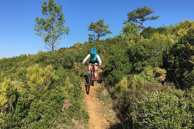 Lizandro Trails - Mountain Biking - Caminho dos Mortos: Flowing Singletrack Through Oak and Pine