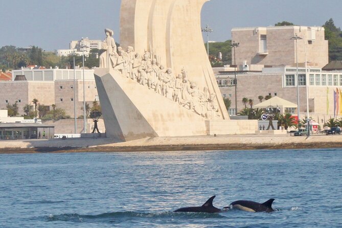Meet the Lisbon Dolphins - Dolphin Watching in Lisbon - Why Lisbon Dolphins Works as a Half-Day Marine Adventure