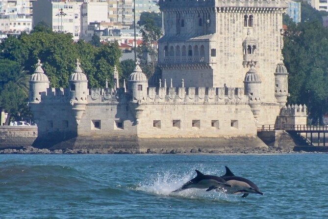 Meet the Lisbon Dolphins - Dolphin Watching in Lisbon - What to Pack for Lisbon Dolphins (Cold Water Is Real)