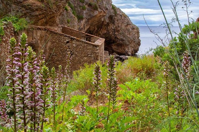 Mindful Coastal Hike in Arrabida – Secret Beach by the Atlantic - The 5-hour flow: pickup, guided walking, and enough beach time