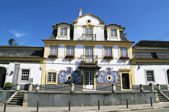 Nature, Wines and Ceramic Tiles: Private Tour - Sesimbra Castle: medieval sea walls and quick coastal walking
