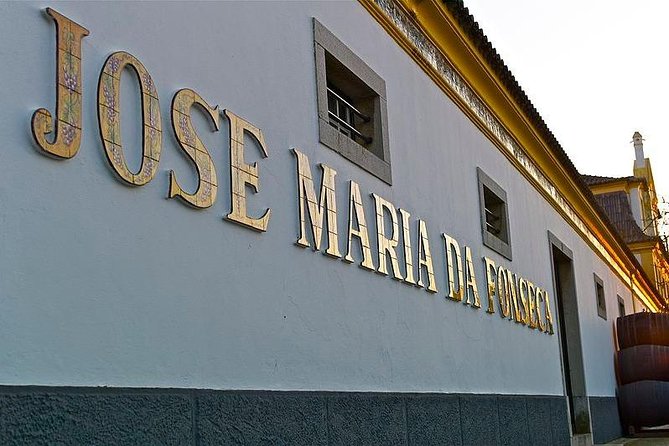 Nature, Wines and Ceramic Tiles: Private Tour - Setúbal lunch break: fresh seafood and fried cuttlefish