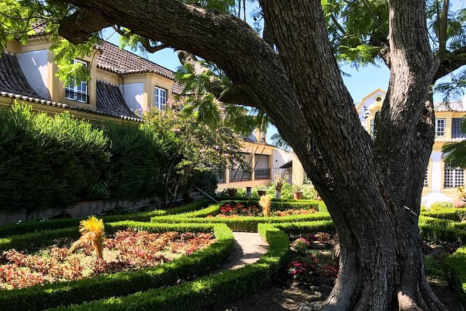 Nature, Wines and Ceramic Tiles: Private Tour - Casa das Tortas and Azeitão pie: sweet fuel for the afternoon