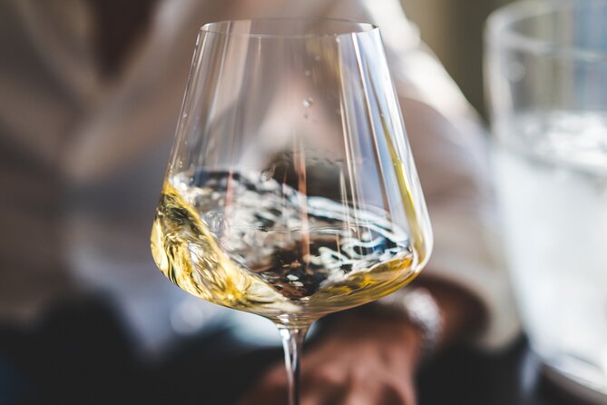Non-Alcoholic Wine Tasting with an Expert - Expert-Led Tasting with Jeremias: How the Lesson Fits the Sips