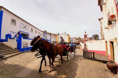 Obidos Medieval Village World Heritage Private Tour - Óbidos Medieval Village: the walled town you can actually enjoy