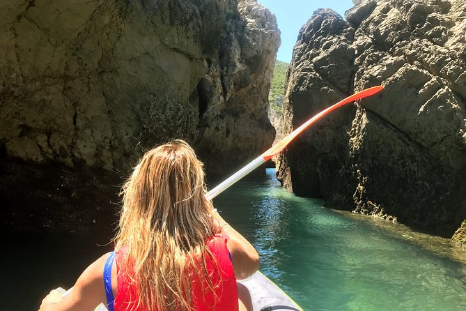 Ocean Bliss: Full Day Yacth Group Tour in Arrábida from Lisbon - Wildlife spotting: dolphins and seabirds, but with low pressure