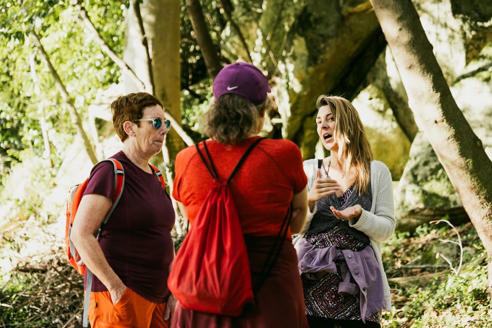 Pena Palace, Moorish Castle,Quinta ad Regaleira:Walking tour - Moorish Castle hike: the steep trail you have to respect