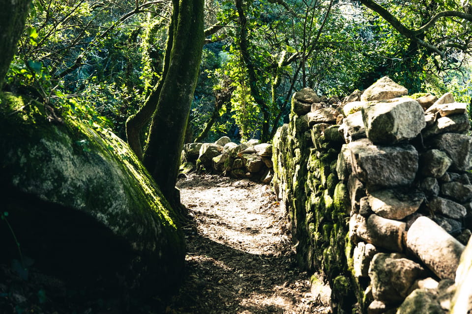 Pena Palace, Moorish Castle,Quinta ad Regaleira:Walking tour - The short move to Pena Palace: quick hike, big payoff