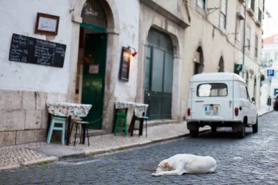 Photography Workshop-Tour in Alfama - Lisbon - Flex route toward Baixa: how you get Praça do Comércio and Rossio vibes
