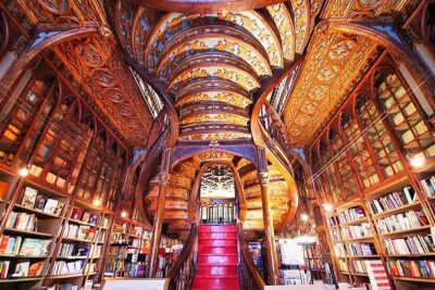Porto Private Personalized Full Day Journey from Lisbon - Lisbon–Porto by private car: what that long drive buys you