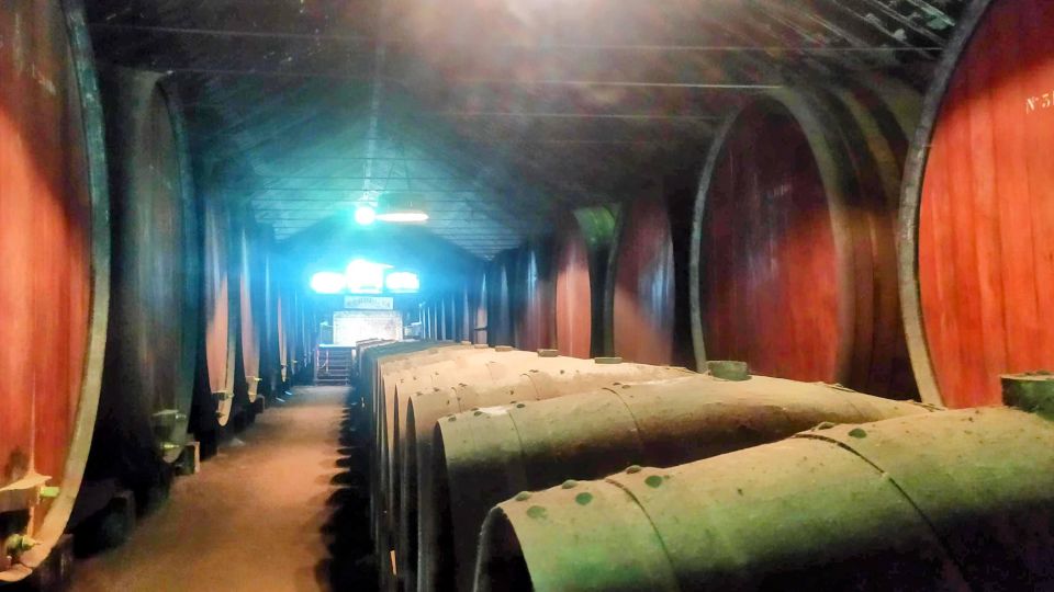 Portuguese Tiles and Wine History - Private Tour - Vasco da Gama to Palmela Castle: the morning with big views