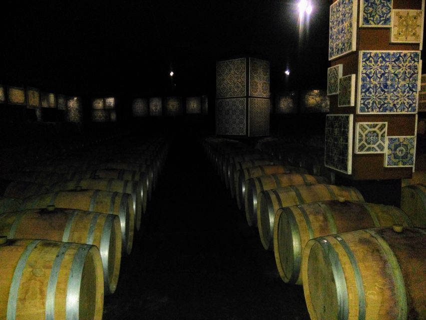 Portuguese Tiles and Wine History - Private Tour - Price and value for a private 8-hour day