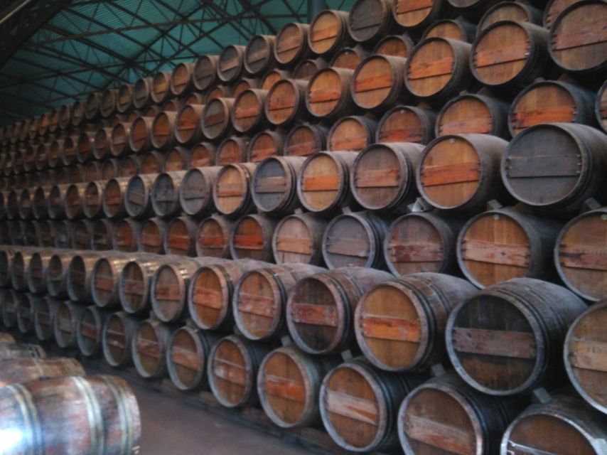 Portuguese Wine History & Amazing Landscape - What to Bring for an Enjoyable 8 Hours South of Lisbon