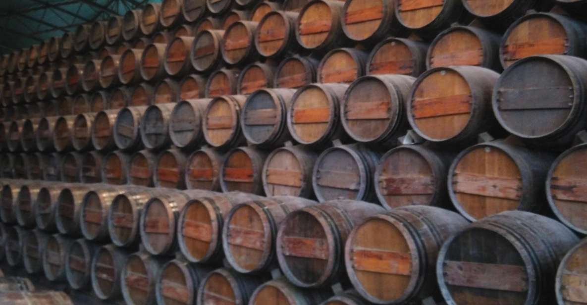 Portuguese Wine History & Amazing Landscape - JMF Wine Cellar and Azeitão: Two Ways to Taste the Region