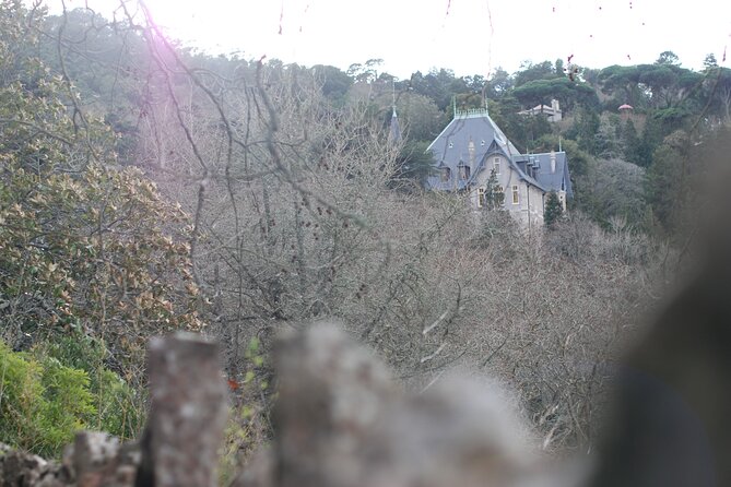 Private 1 hour and half Sintra Guided Tour - Biester Chalet at Pena Park: Swiss-Chalet with Moorish Flair