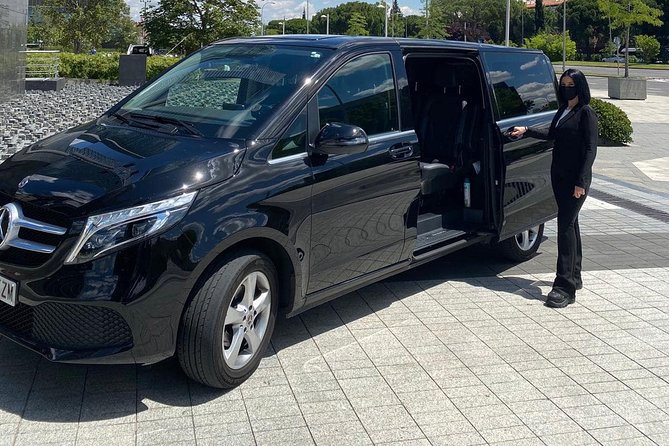 Private 4-hour city tour of Lisbon with driver & official guide w/ Hotel pick up - Rossio Square, Praca Dom Pedro IV: a center stop for photos and scale