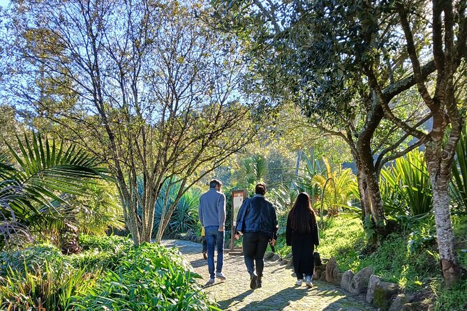 Private Chilled Daytrip to Sintra - Timing and drive time from Lisbon (and why it matters)