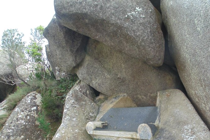 Private Day Tour from the Centre to the Highest Point in Sintra. - Pena Park and the High Cross: 88 Hectares of Views