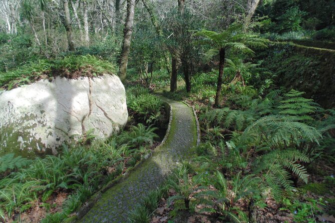 Private Day Tour from the Centre to the Highest Point in Sintra. - The Lake Entrance, Pena Palace Grounds, and the Cafeteria Reset