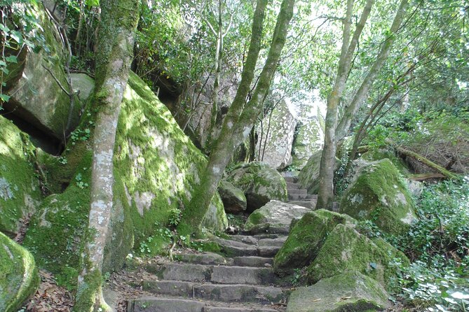 Private Day Tour from the Centre to the Highest Point in Sintra. - Eastern Park to the Chalet of the Countess: The Views Feel More Personal