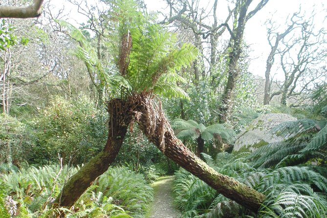 Private Day Tour from the Centre to the Highest Point in Sintra. - Coming Back Down: Mourish Castle Walls and the Hans Christian Andersen Link