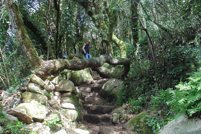 Private Day Tour from the Centre to the Highest Point in Sintra. - Centro Histórico Finish: Snacks and a Softer Landing