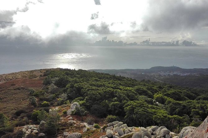 Private Evening Walk Inside the Forest: "Sintra Mountains Inbetween Wolves" - Meet Miguel Boim: the historian behind the walk