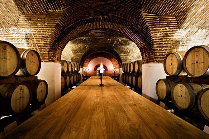 Private Evora Heritage and Alentejo Wine Tour from Lisbon - Key reasons this tour is worth your day