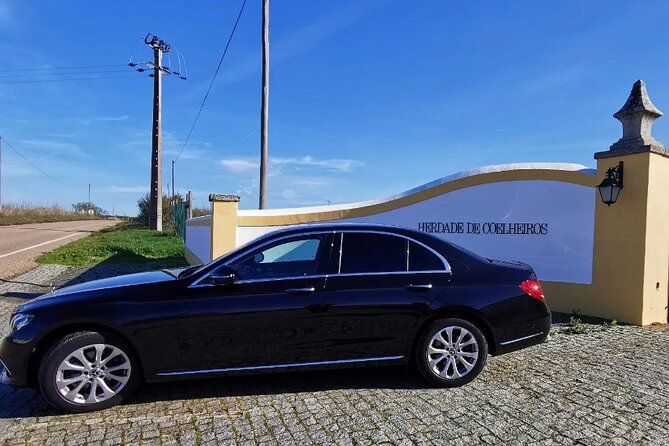 Private Évora Tour With Wine Experience and Wine Tasting - Church of São Francisco and the Chapel of Bones: plan for the mood