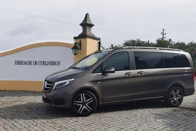 Private Évora Tour With Wine Experience and Wine Tasting - Pacing tips: how to enjoy every stop without rushing